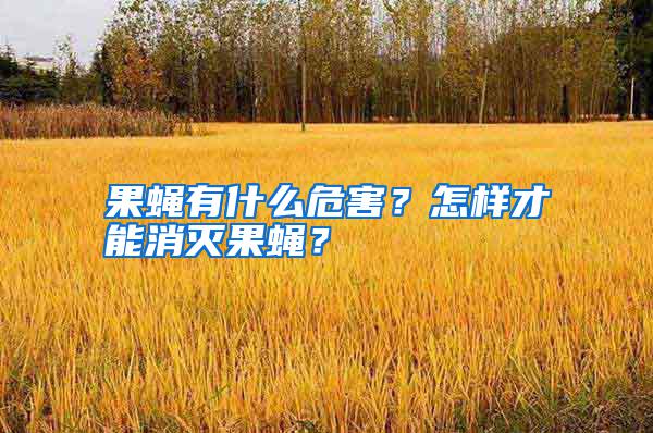 果蠅有什么危害？怎樣才能消滅果蠅？