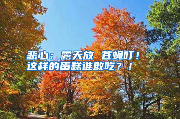 惡心：露天放 蒼蠅叮！ 這樣的蛋糕誰敢吃？！