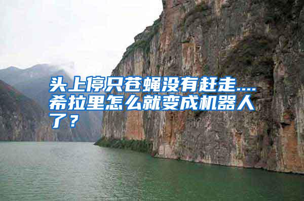 頭上停只蒼蠅沒有趕走....希拉里怎么就變成機(jī)器人了？