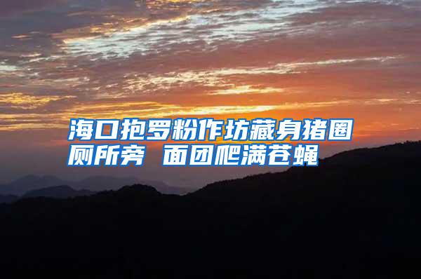 ?？诒Я_粉作坊藏身豬圈廁所旁 面團爬滿蒼蠅