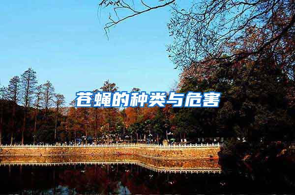蒼蠅的種類(lèi)與危害