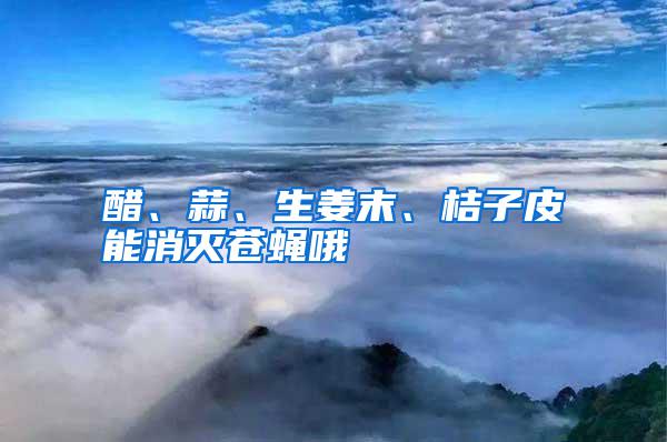 醋、蒜、生姜末、桔子皮能消滅蒼蠅哦