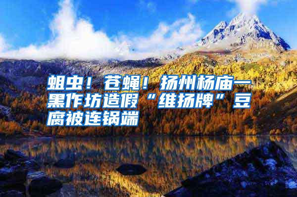 蛆蟲(chóng)！蒼蠅！揚(yáng)州楊廟一黑作坊造假“維揚(yáng)牌”豆腐被連鍋端