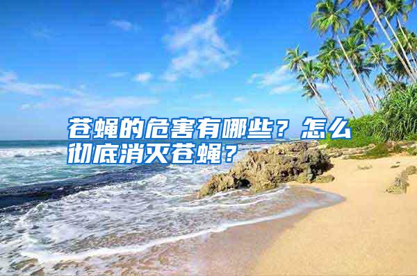 蒼蠅的危害有哪些？怎么徹底消滅蒼蠅？