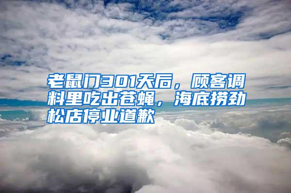 老鼠門301天后，顧客調料里吃出蒼蠅，海底撈勁松店停業(yè)道歉