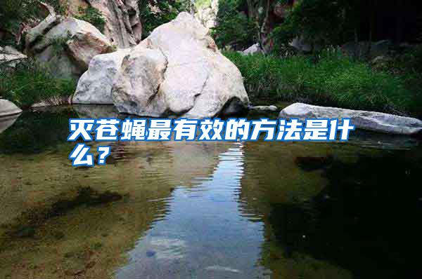 滅蒼蠅最有效的方法是什么？