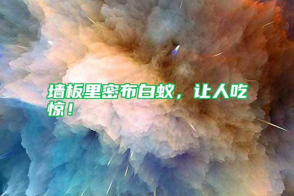 墻板里密布白蟻，讓人吃驚！
