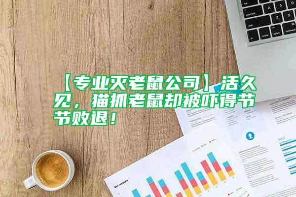 【專業(yè)滅老鼠公司】活久見(jiàn)，貓抓老鼠卻被嚇得節(jié)節(jié)敗退！
