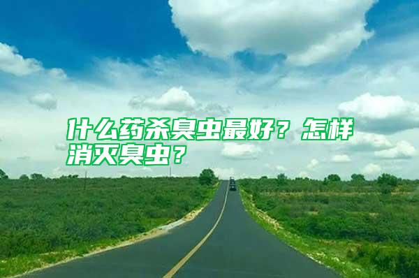 什么藥殺臭蟲最好？怎樣消滅臭蟲？