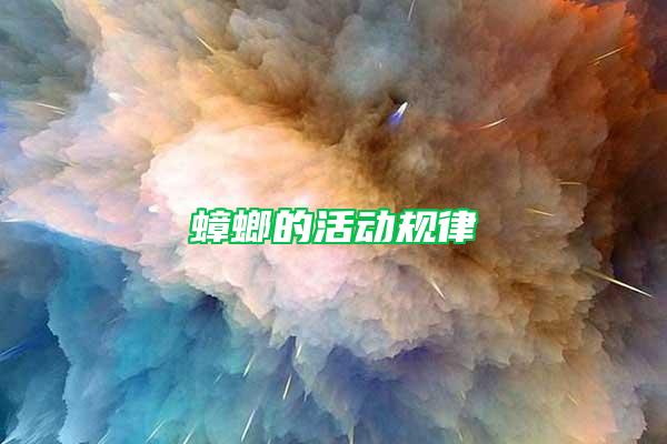 蟑螂的活動規(guī)律