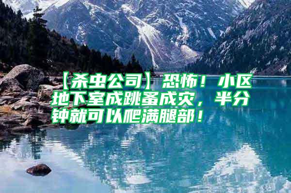 【殺蟲公司】恐怖！小區(qū)地下室成跳蚤成災(zāi)，半分鐘就可以爬滿腿部！