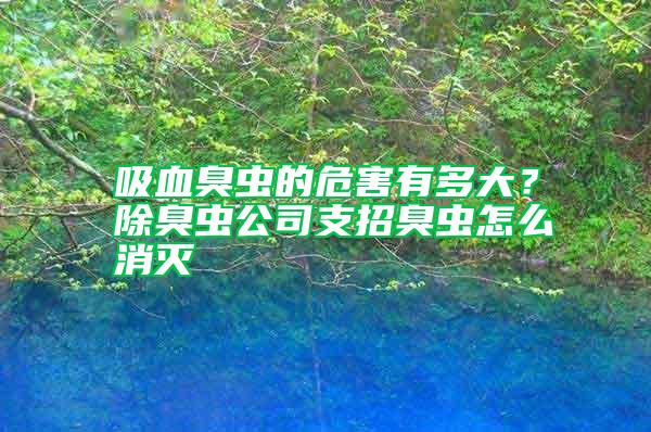 吸血臭蟲的危害有多大？除臭蟲公司支招臭蟲怎么消滅