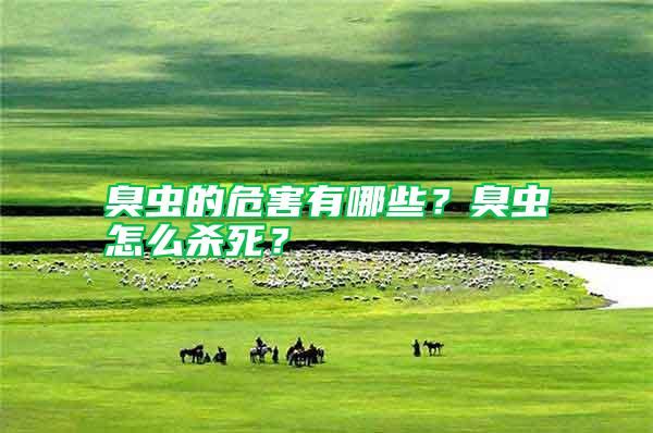 臭蟲(chóng)的危害有哪些？臭蟲(chóng)怎么殺死？
