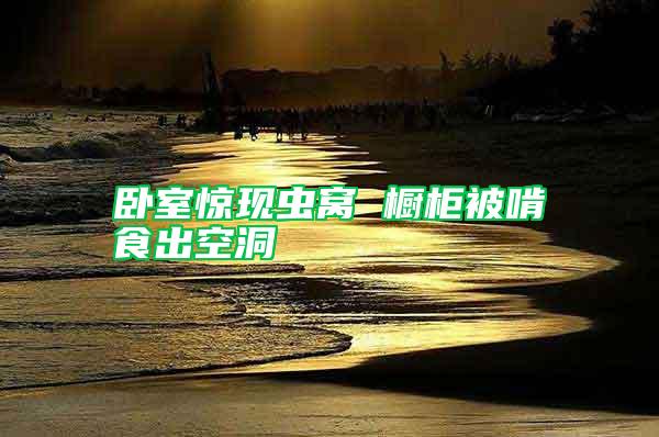 臥室驚現(xiàn)蟲(chóng)窩 櫥柜被啃食出空洞
