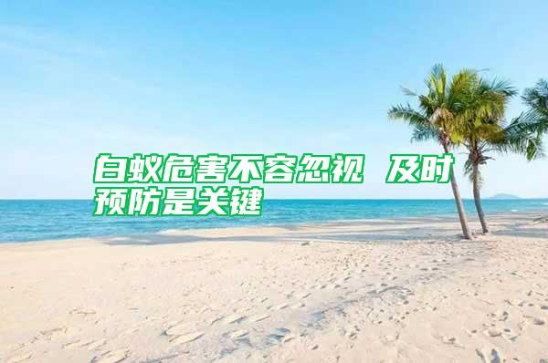 白蟻危害不容忽視 及時預防是關(guān)鍵