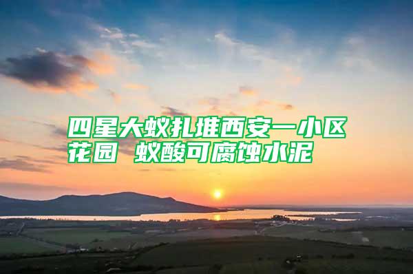 四星大蟻扎堆西安一小區(qū)花園 蟻酸可腐蝕水泥