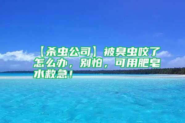 【殺蟲公司】被臭蟲咬了怎么辦，別怕，可用肥皂水救急！
