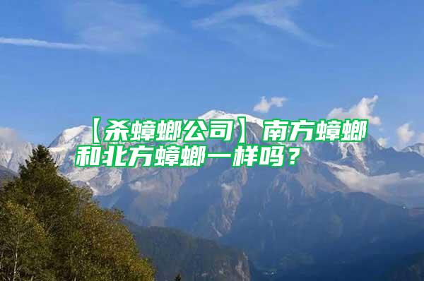 【殺蟑螂公司】南方蟑螂和北方蟑螂一樣嗎？