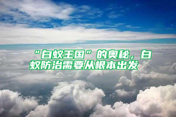 “白蟻王國(guó)”的奧秘，白蟻防治需要從根本出發(fā)