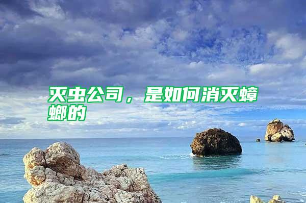 滅蟲公司，是如何消滅蟑螂的