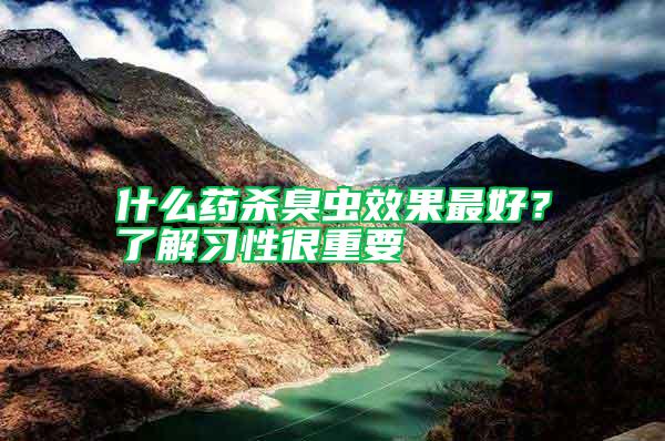 什么藥殺臭蟲(chóng)效果最好？了解習(xí)性很重要