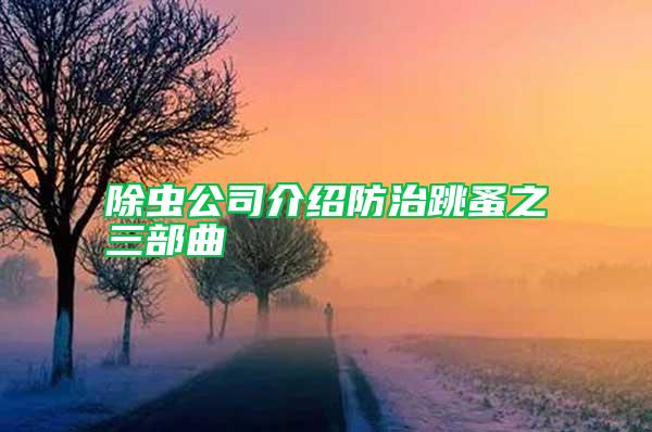 除蟲(chóng)公司介紹防治跳蚤之三部曲