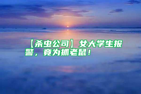 【殺蟲公司】女大學生報警，竟為抓老鼠！