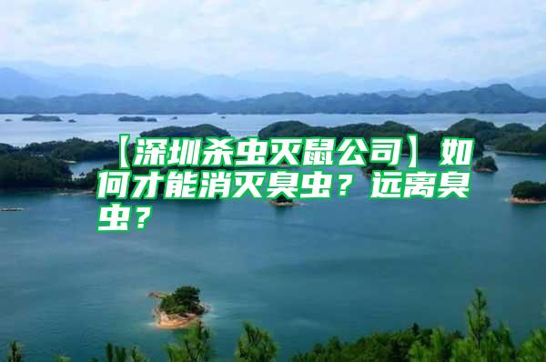 【深圳殺蟲(chóng)滅鼠公司】如何才能消滅臭蟲(chóng)？遠(yuǎn)離臭蟲(chóng)？