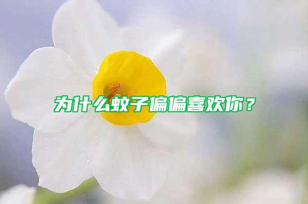 為什么蚊子偏偏喜歡你？
