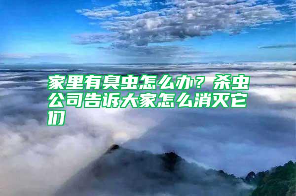 家里有臭蟲(chóng)怎么辦？殺蟲(chóng)公司告訴大家怎么消滅它們