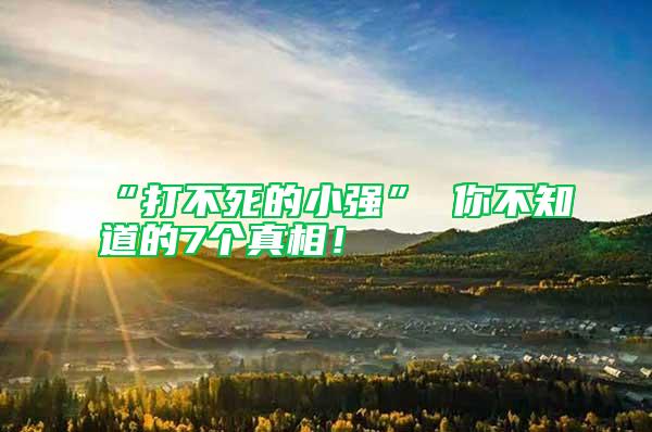“打不死的小強” 你不知道的7個真相！