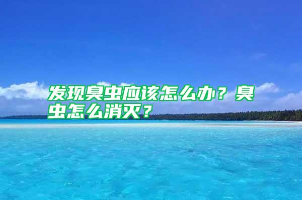 發現臭蟲應該怎么辦？臭蟲怎么消滅？