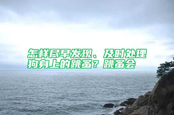 怎樣盡早發現、及時處理狗身上的跳蚤？跳蚤會