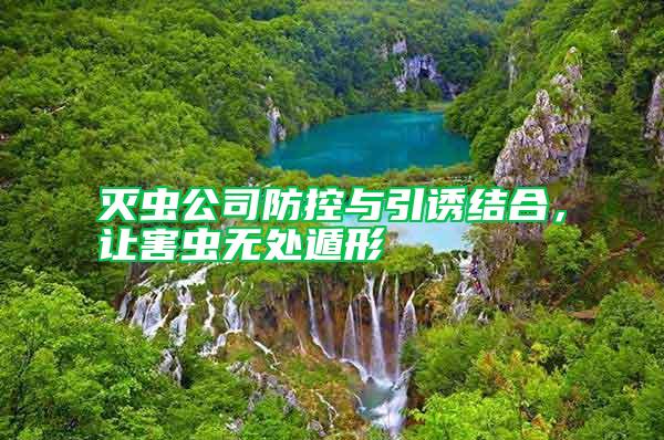 滅蟲公司防控與引誘結合，讓害蟲無處遁形