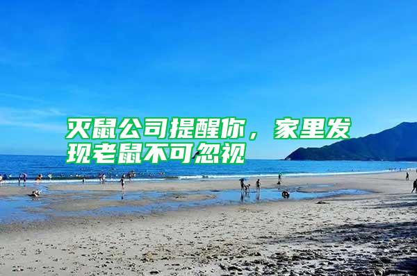 滅鼠公司提醒你，家里發現老鼠不可忽視