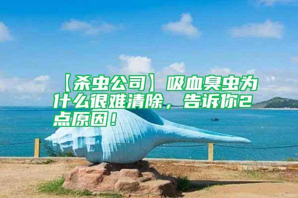 【殺蟲公司】吸血臭蟲為什么很難清除，告訴你2點(diǎn)原因！