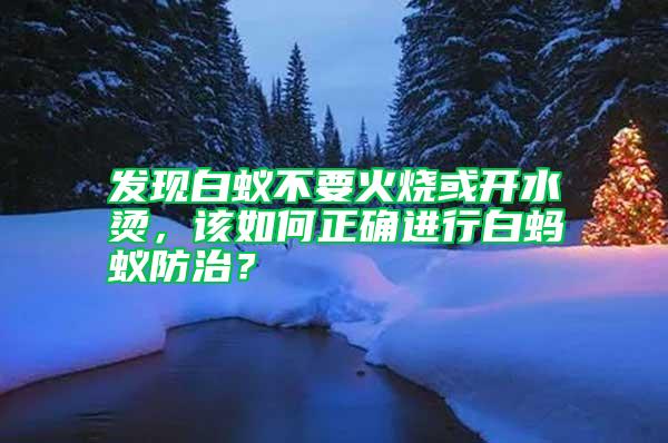 發現白蟻不要火燒或開水燙，該如何正確進行白螞蟻防治？