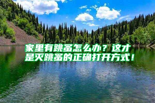 家里有跳蚤怎么辦？這才是滅跳蚤的正確打開(kāi)方式！