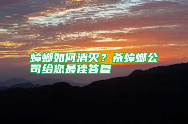 蟑螂如何消滅？殺蟑螂公司給您最佳答復