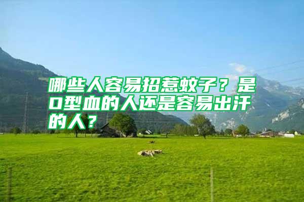 哪些人容易招惹蚊子？是O型血的人還是容易出汗的人？