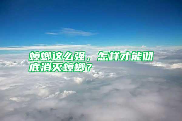 蟑螂這么強，怎樣才能徹底消滅蟑螂？