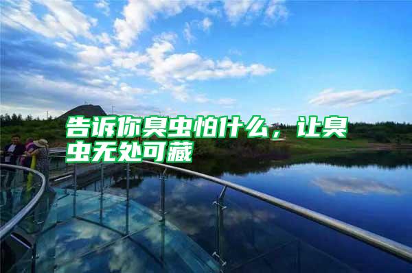 告訴你臭蟲怕什么，讓臭蟲無處可藏