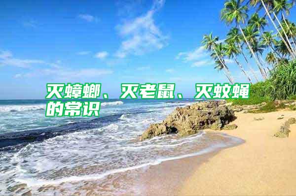 滅蟑螂、滅老鼠、滅蚊蠅的常識