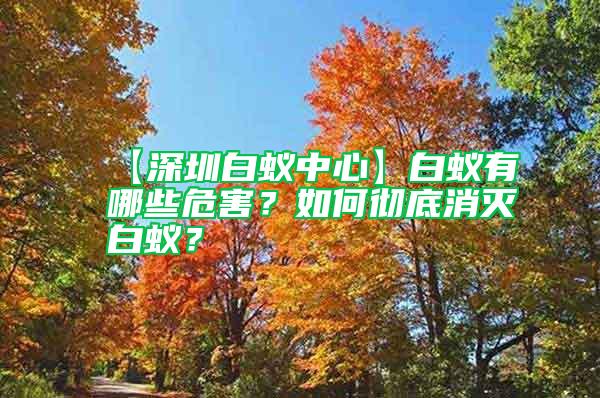 【深圳白蟻中心】白蟻有哪些危害？如何徹底消滅白蟻？