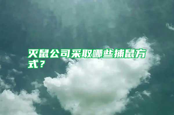 滅鼠公司采取哪些捕鼠方式？
