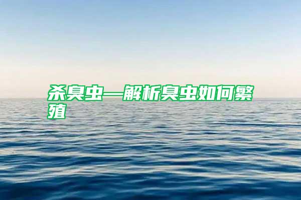 殺臭蟲(chóng)—解析臭蟲(chóng)如何繁殖