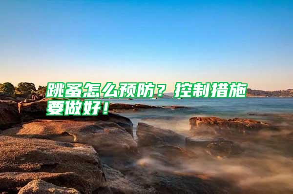 跳蚤怎么預防？控制措施要做好！