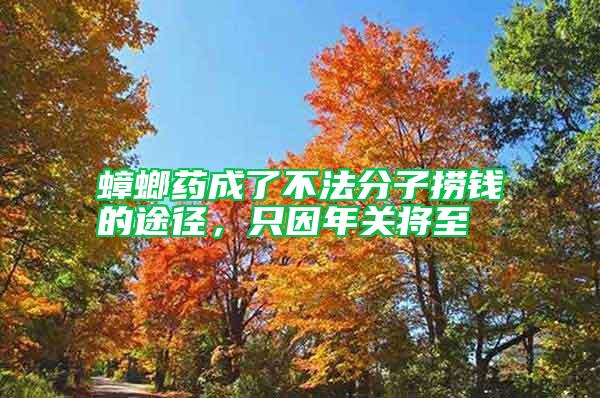 蟑螂藥成了不法分子撈錢的途徑，只因年關將至