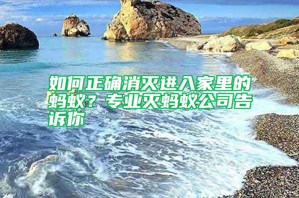 如何正確消滅進入家里的螞蟻？專業滅螞蟻公司告訴你
