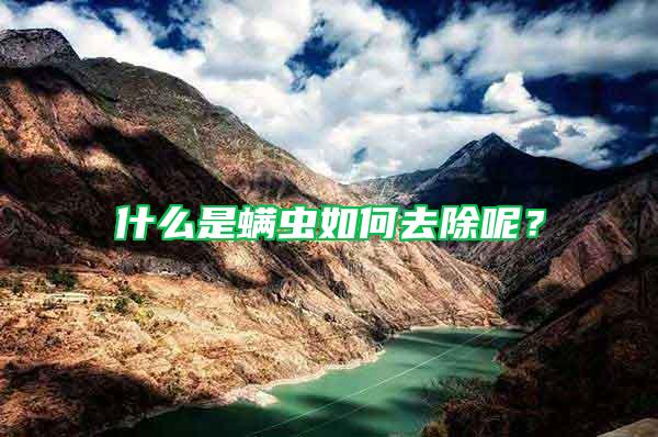 什么是螨蟲如何去除呢？